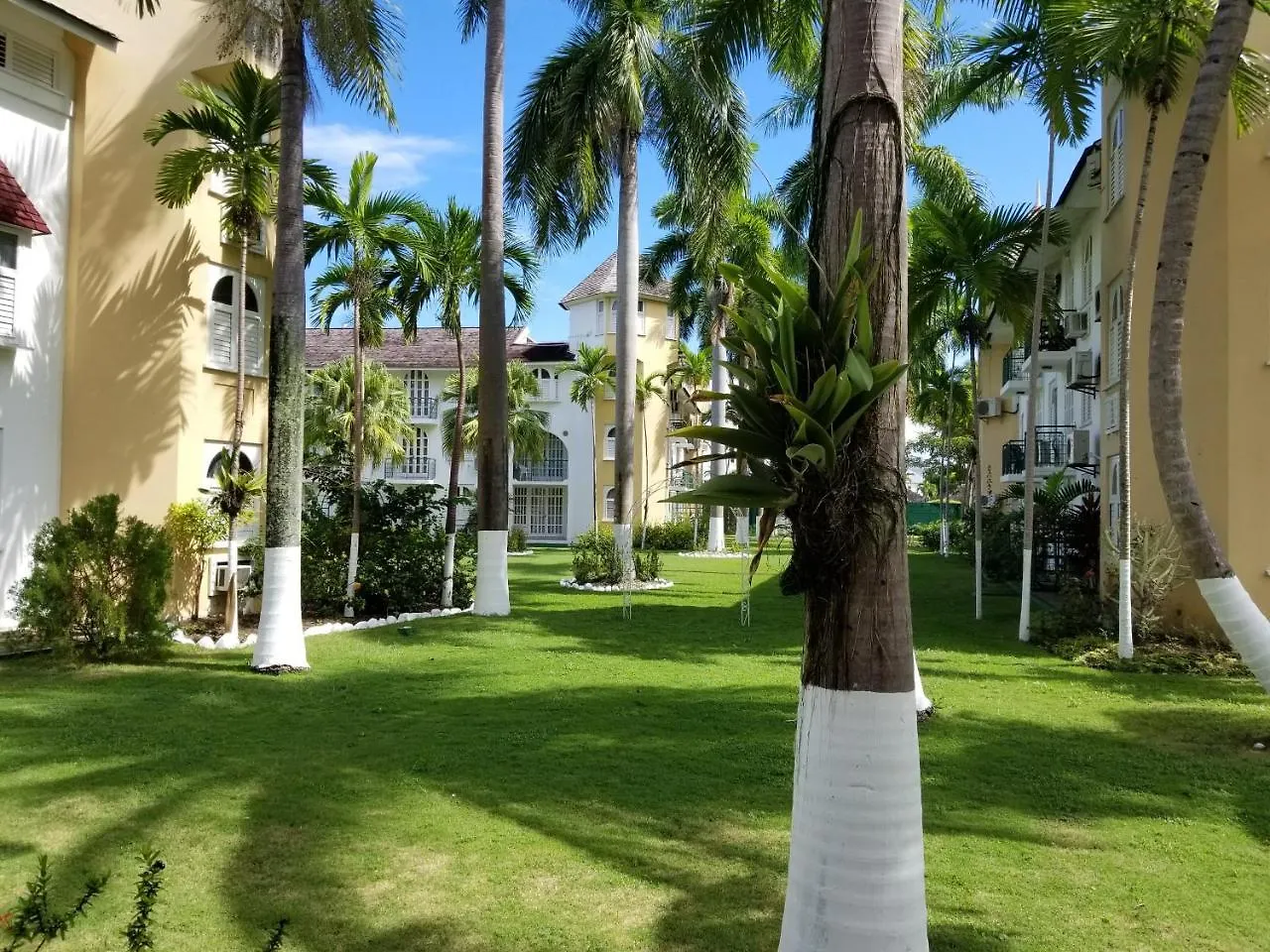 Oasis At Sandcastles Adults Only Luxury King Suite 3*, Ocho Rios Jamajka